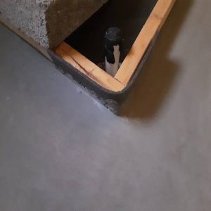 Finished Screed on Edging